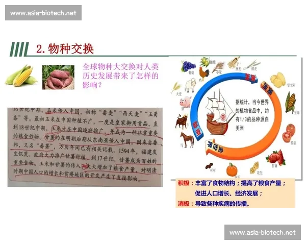 在时代转角处见证冷门诞生如何改写世界格局与想象的未来轨迹故事