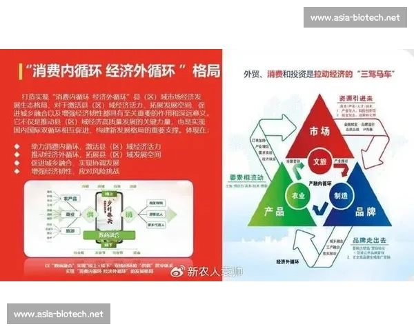 奢侈税视角下消费调节公平分配与高质量发展的政策路径研究