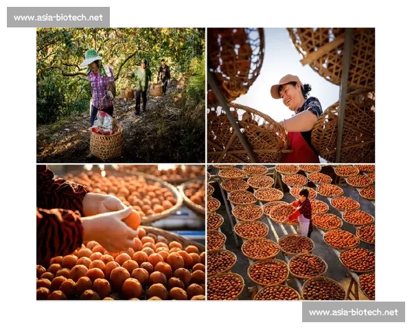 纪念商品的魅力与价值探索：从文化传承到市场创新的多维视角