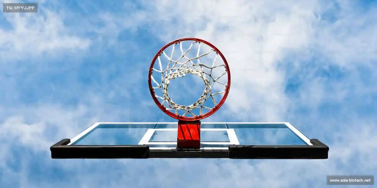 我们的核心竞争力